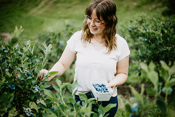 Süße Heidelbeeren frisch vom Strauch