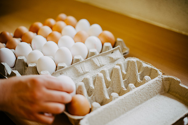Eier von glücklichen Hühnern